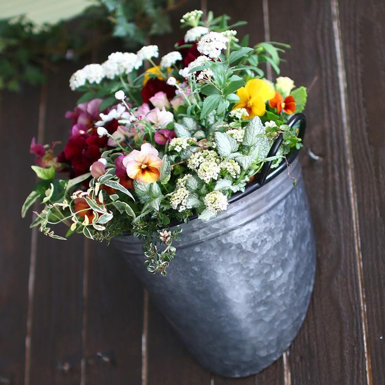 春の寄せ植え 花うるるアレンジ メタルポット 寄せ植え Sサイズ 寄植え ブリキ メタル ハンギング 花束 ギフト プレゼント Yose Metalpot S 花うるる ハンギング 寄せ植え通販 通販 Yahoo ショッピング