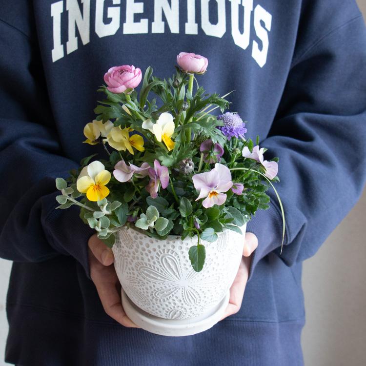 花うるる おまかせ／「季節の寄せ植えinポット(5号サイズ)」完成品 春