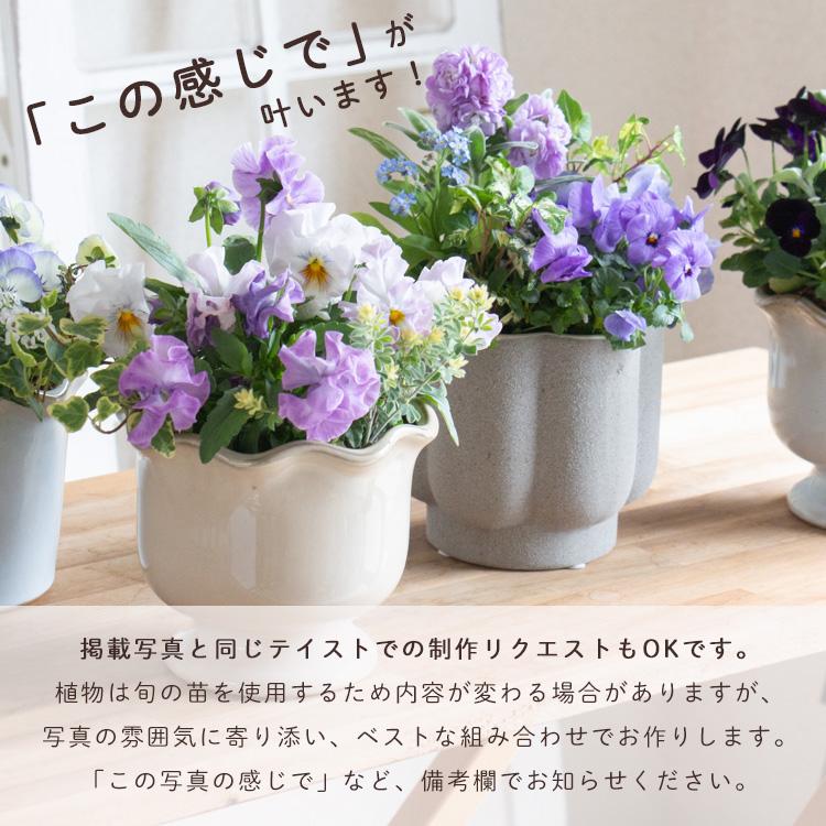 花うるる おまかせ／「季節の寄せ植えinポット(5号サイズ)」完成品 春
