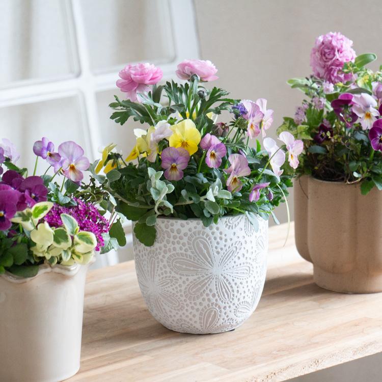 花うるる おまかせ／「季節の寄せ植えinポット(5号サイズ)」完成品 春