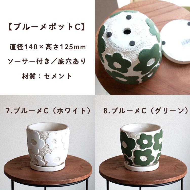 花うるる おまかせ／「季節の寄せ植えinポット(5号サイズ)」完成品 夏