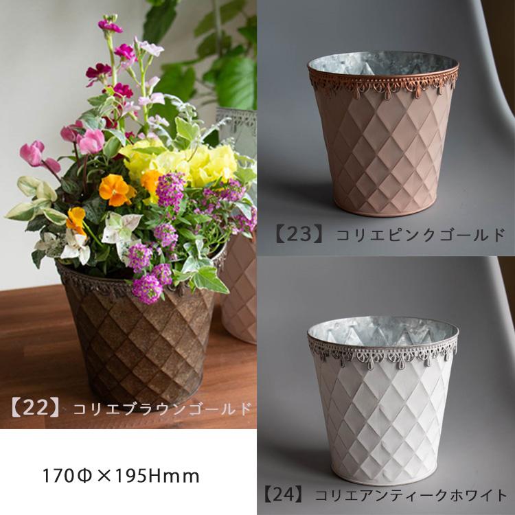 花うるる おまかせ／「季節の寄せ植えinポット」完成品 春 夏 誕生日