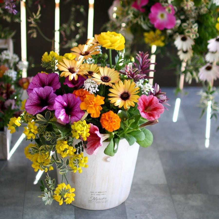 花うるる おまかせ／「季節の寄せ植えinポット」完成品 春 夏 誕生日