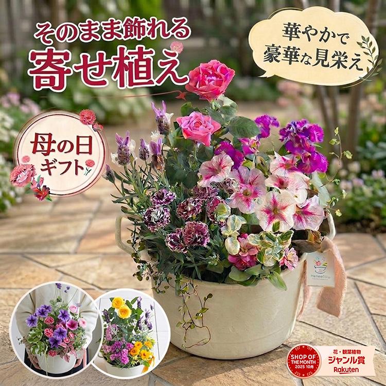 ＼母の日 まだ間に合う／花うるる 花うるる 寄せ植え『母の日アレンジ in コージーバスケット』完成品 母 2026 ギフト プレゼント 誕生日 女性 50代 60代 義母（Yahoo!・花うるる(ハンギング&寄せ植え通販）