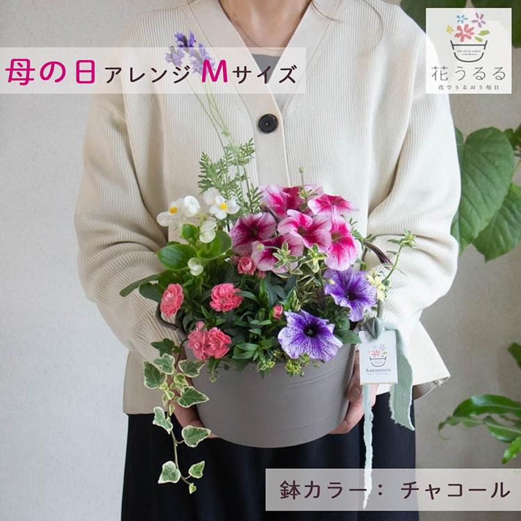 ＼母の日 まだ間に合う／花うるる 花うるる 寄せ植え『母の日アレンジ in コージーバスケット』完成品 母 2026 ギフト プレゼント 誕生日 女性 50代 60代 義母_1