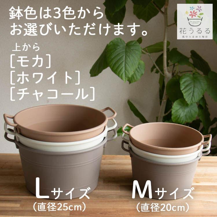 ＼母の日 まだ間に合う／花うるる 花うるる 寄せ植え『母の日アレンジ in コージーバスケット』完成品 母 2026 ギフト プレゼント 誕生日 女性 50代 60代 義母_7
