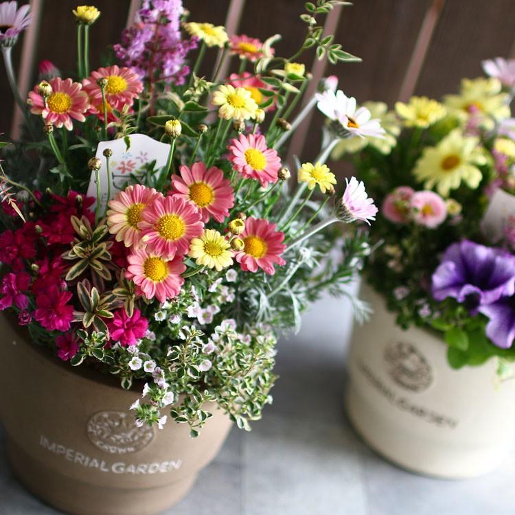 季節のおまかせアレンジ テラコッタ 寄せ植え 寄せ植え 春 夏 秋 冬 玄関 ベランダ 誕生日プレゼント 新築祝い 女性 送別会 入学 御祝い Yose Tera 01 花うるる ハンギング 寄せ植え通販 通販 Yahoo ショッピング