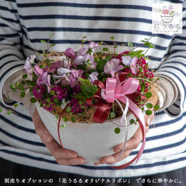 お試し価格 花うるるのお試しギャザリング寄せ植え テラmini 寄せ植え ギフト 春 フラワーギフト 誕生日 プレゼント 女性 友人 内祝い ギャザリング Yose Tera Mini 花うるる ハンギング 寄せ植え通販 通販 Yahoo ショッピング