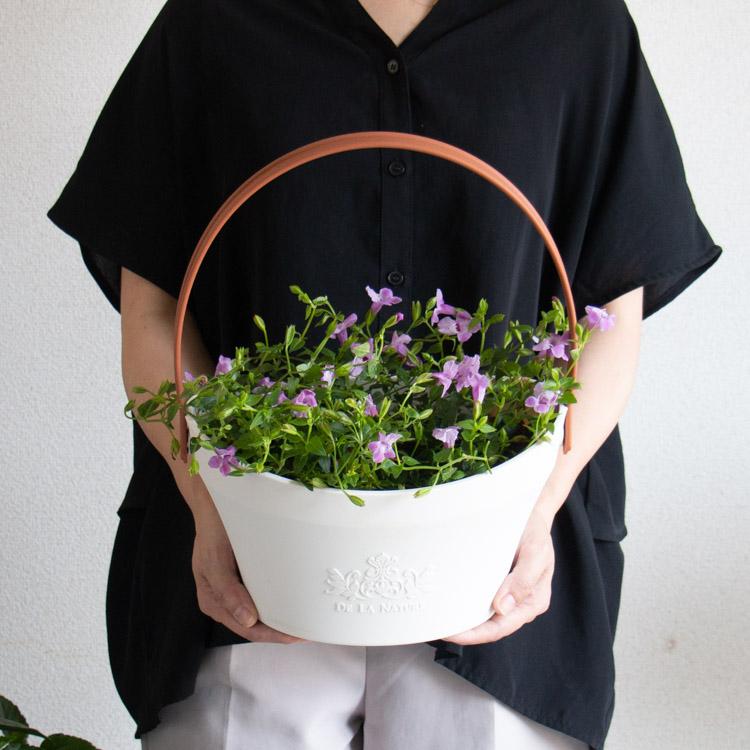 酷暑でも元気に満開／ 花うるる 寄せ植え『スーパートレニア