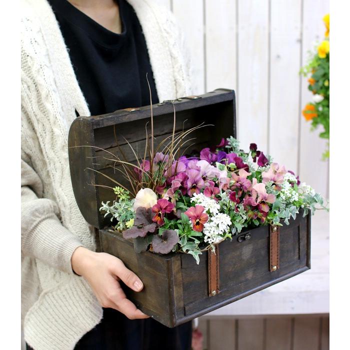 送料無料 おまかせプレミア寄せ植え In トレジャーbox Mサイズ 寄せ植え 玄関 春 フラワーギフト 誕生日 プレゼント 女性 友人 おしゃれ Yose Treasure Box M 花うるる ハンギング 寄せ植え通販 通販 Yahoo ショッピング