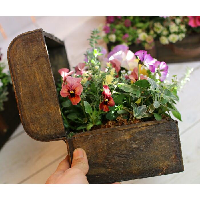 花うるる おまかせ／「季節の寄せ植えinトレジャーBOX(Sサイズ)」完成