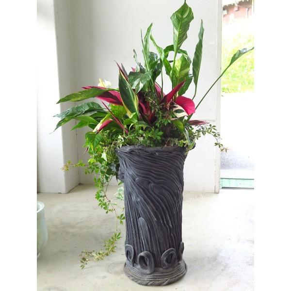 送料無料・室内なら1年中鑑賞OK 『アンスリウム・スパティ×綱木紋 黒』 