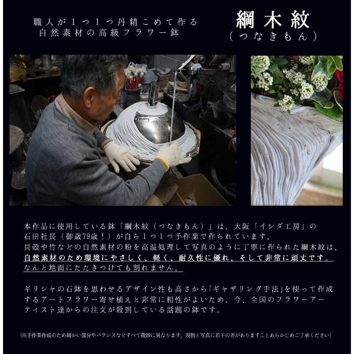 送料無料・室内なら1年中鑑賞OK 『アンスリウム・スパティ×綱木紋 黒』 