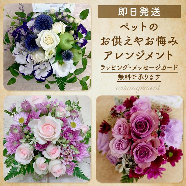 花 お供え アレンジメント ペット お悔み 喪中お見舞い お悔やみ 法事 命日 新盆 初盆 お盆 彼岸 枕花 仏事 弔事 喪中 生花（Yahoo!・hanawara）