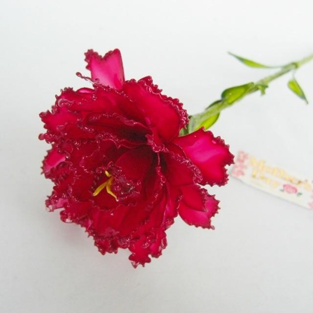 アメリカンフラワー・カーネーション1本売り母の日に : 花with-heart