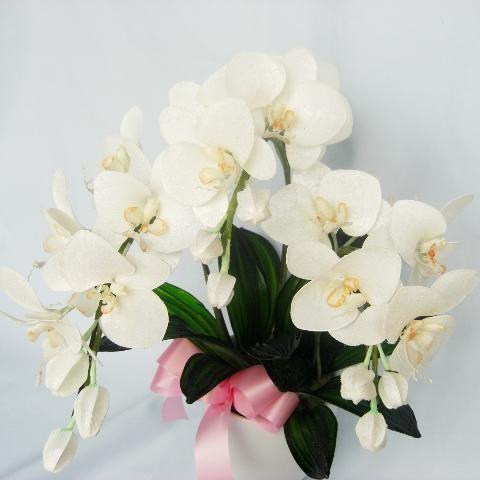 独創的 アメリカンフラワー胡蝶蘭３本立て10p13sep10 高い品質 Www Technet 21 Org