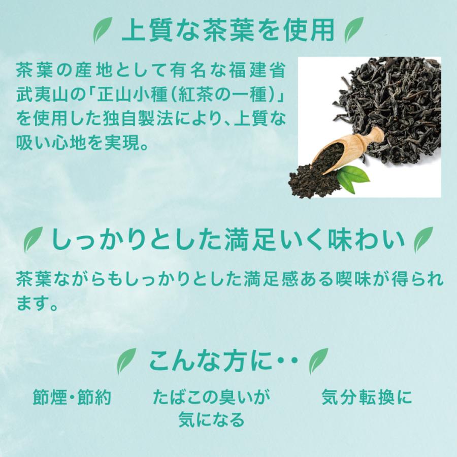 【5個セット】EcoZero エコゼロ シトラス 20本入|hanaxhanadrug|03