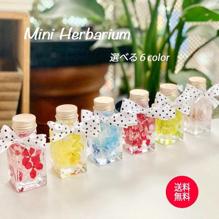 ハーバリウム ミニ 5color 赤 黄 青 ピンク 緑 紫プチギフト送料無料 ハーバリウム ミニ 5color 赤 黄 青 ピンク 緑 紫プチギフト送料無料