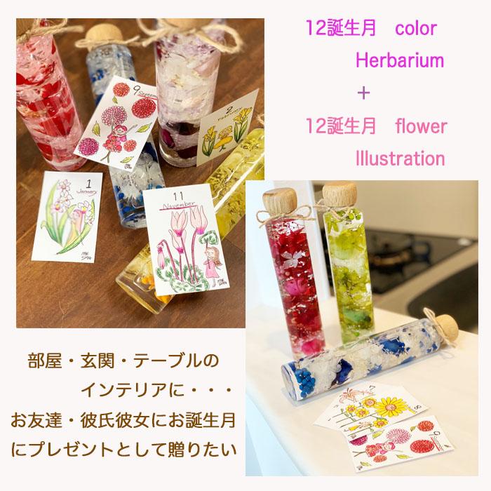 ハーバリウム誕生石color1月から6月ウッドキャップ0ml 誕生日フラワーイラスト 入浴剤セットギフト プレゼント 001 9 花屋 心一つ 通販 Yahoo ショッピング