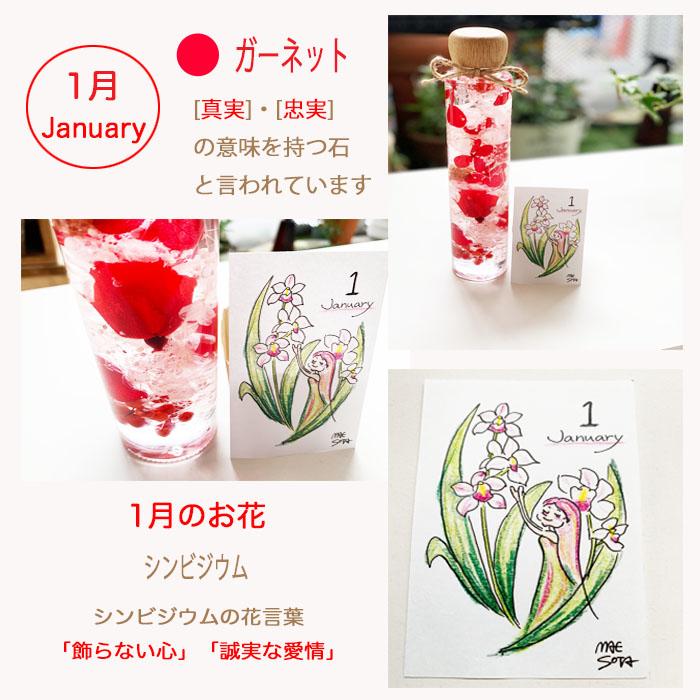 日本限定 ハーバリウム誕生石color1月から6月ウッドキャップ0ml 誕生日フラワーイラスト 入浴剤セットギフト プレゼント Whitesforracialequity Org