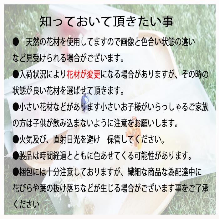 ドライフラワー詰め合わせ送料無料  花材 キット 150mmハーバリウム 瓶約２本分プリザーブドフラワー｜hanaya-cocoro-one｜06