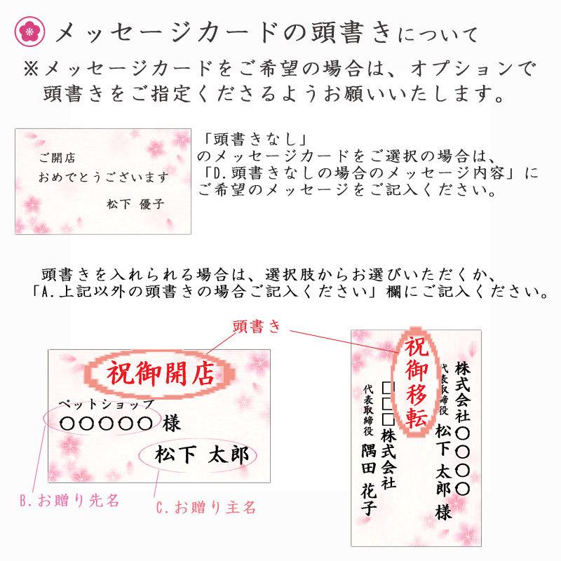 工場直送 開店 開業祝い ご移転祝い 周年記念 プリザーブドフラワー ギフト お花 プレゼント 贈り物 ケース入り一合枡 益々繁盛 輝翔 きしょう Aynaelda Com