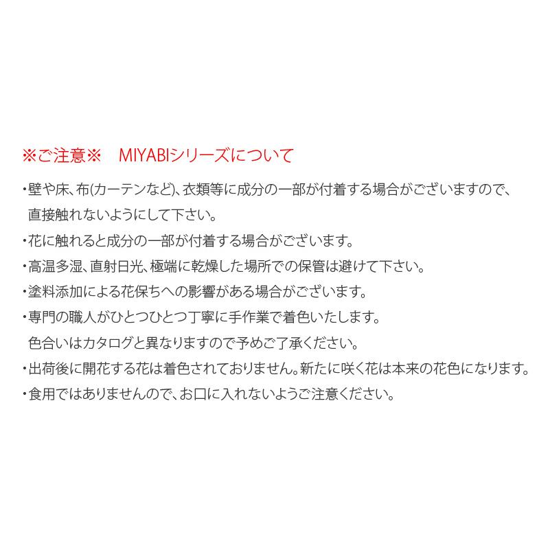 MIYABI　胡蝶蘭コットンキャンディ　大輪3本立ち 33輪以上　青　オレンジ　イエロー　ブルー　パープル　胡蝶蘭【平日12時迄の注文で翌日出荷】｜hanayaka｜11