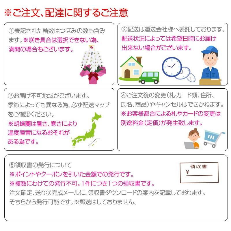 円 ブランド品専門の 胡蝶蘭 大輪 3本立ち 39輪以上つぼみ込み ギフト プレゼント お祝い 花 フラワー 鉢花 開院 開店 開業 開園 祝い 誕生日 内祝 お供