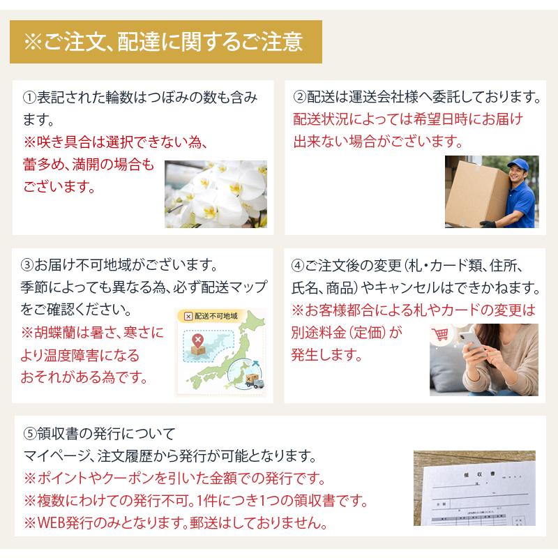 MIYABI 胡蝶蘭大輪5本立ち 60輪以上　青い胡蝶蘭　彩り豊富 10色展開　青　緑　オレンジ　黄色　紫　ブルー　パープル_9