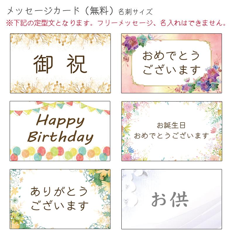 胡蝶蘭 ※現在1輪開花〜　カララL（ミニミディ） 2本立ち ラッピング、カード無料！鉢花 ギフト 誕生日 プレゼント 開店祝い  お祝い お供え※KG |  | 01