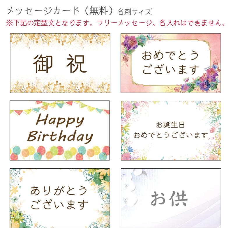 胡蝶蘭 カララ ミニミディ 2本立ち ラッピング メッセージカード付き 鉢花 ギフト 花 誕生日 プレゼント 蘭 贈り物 開店祝い お祝い Kg 405 胡蝶蘭専門店はなやか 通販 Yahoo ショッピング