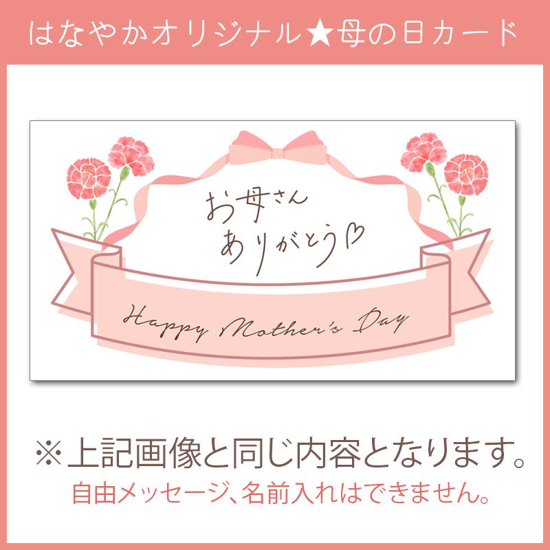 胡蝶蘭 ミディ 2本立ち ラッピング無料、札無料! お祝い 花 胡蝶蘭 ミディ 2本立ち ラッピング無料、札無料! お祝い 花