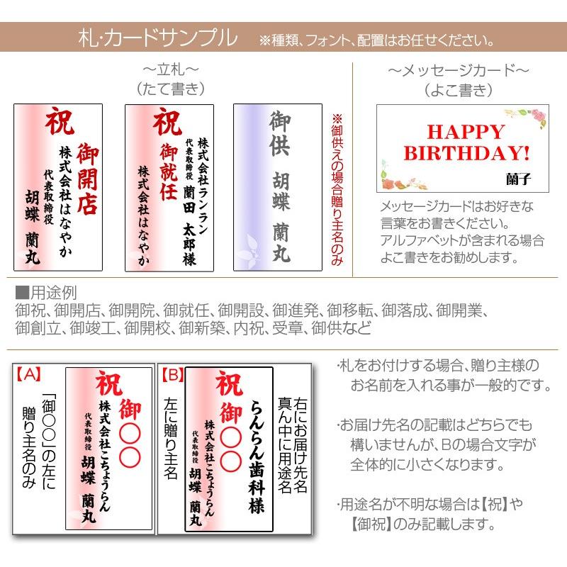 胡蝶蘭専用 のびのびスティック立札orメッセージカード 胡蝶蘭も一緒に購入してください Hnstm 胡蝶蘭専門店はなやか 通販 Yahoo ショッピング