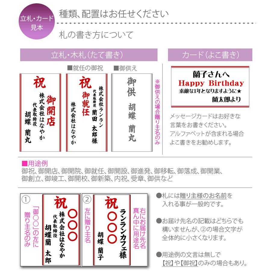 胡蝶蘭専用】胡蝶蘭専用 のびのび 立札orメッセージカード（※胡蝶蘭も 