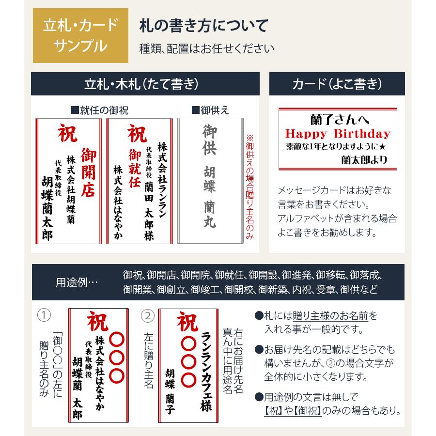 胡蝶蘭 ポイント7倍 蘭の活力剤プレゼント 大輪3本立ち お祝い 豪華ラッピング・花上札無料 写真配信あり 3本24輪 蕾込 2本　爆買_12