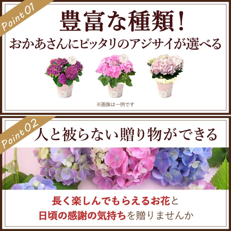 フラワーマーケット花由 まだ間に合う ※一部地域を除く 母の日 花