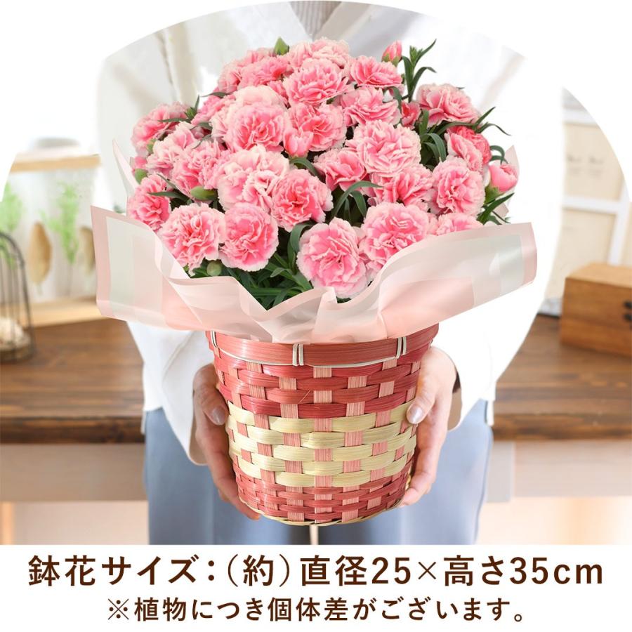 フラワーマーケット花由 まだ間に合う ※一部地域を除く 母の日 2026 花