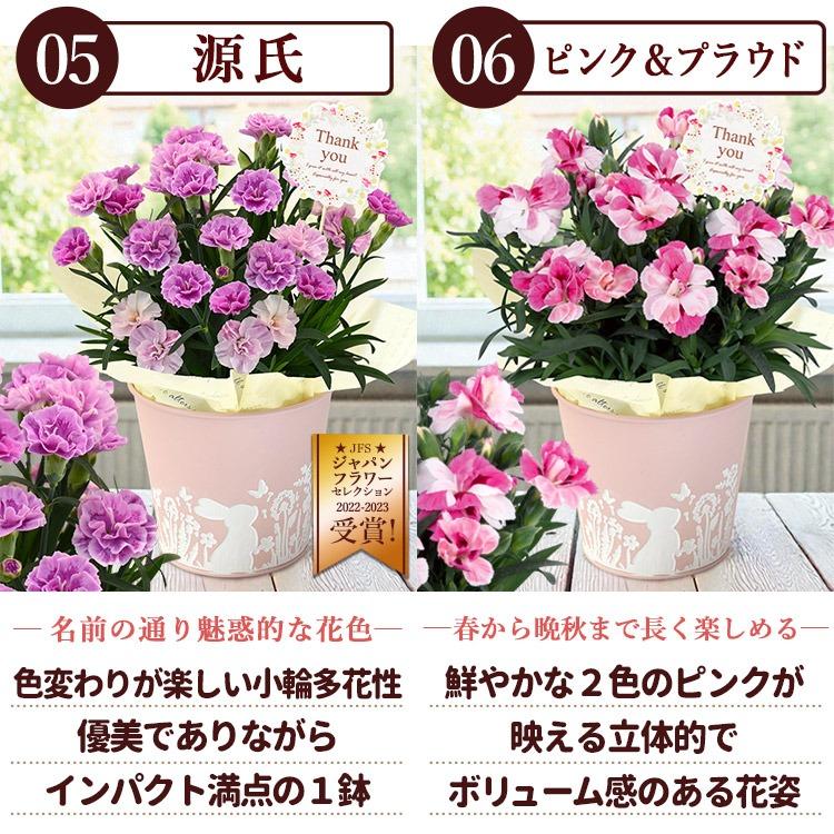 フラワーマーケット花由 遅れてごめんね 母の日 2026 花 花とスイーツ