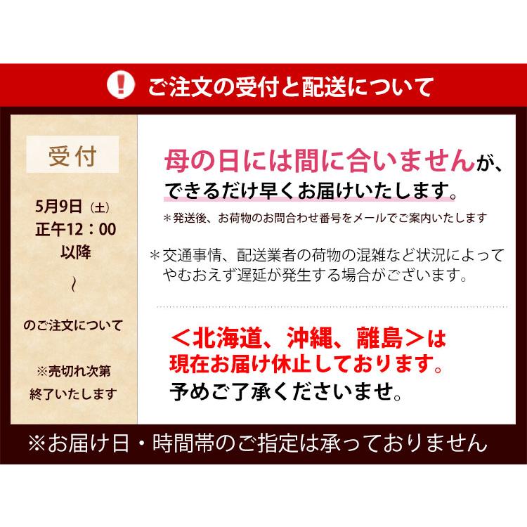 遅れてごめんね 母の日 2026 花 花とスイーツ 選べる 32通り カーネーション 鉢花 ギフト プリザーブドフラワー スイートポテト スイーツ セット | フラワーマーケット花由 | 24
