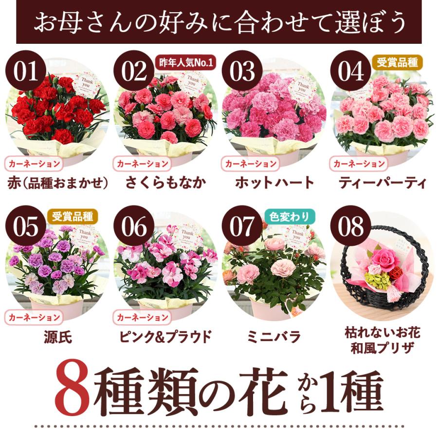 フラワーマーケット花由 遅れてごめんね 母の日 2026 花 花とスイーツ
