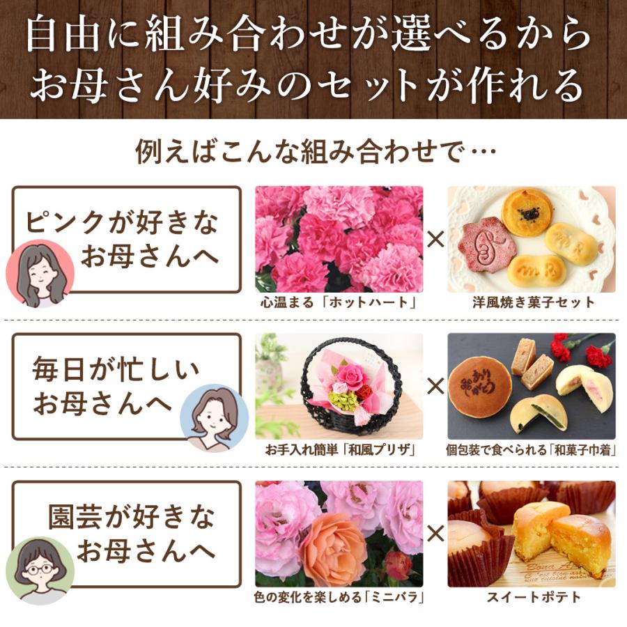 遅れてごめんね 母の日 2026 花 花とスイーツ 選べる 32通り カーネーション 鉢花 ギフト プリザーブドフラワー スイートポテト スイーツ セット | フラワーマーケット花由 | 12