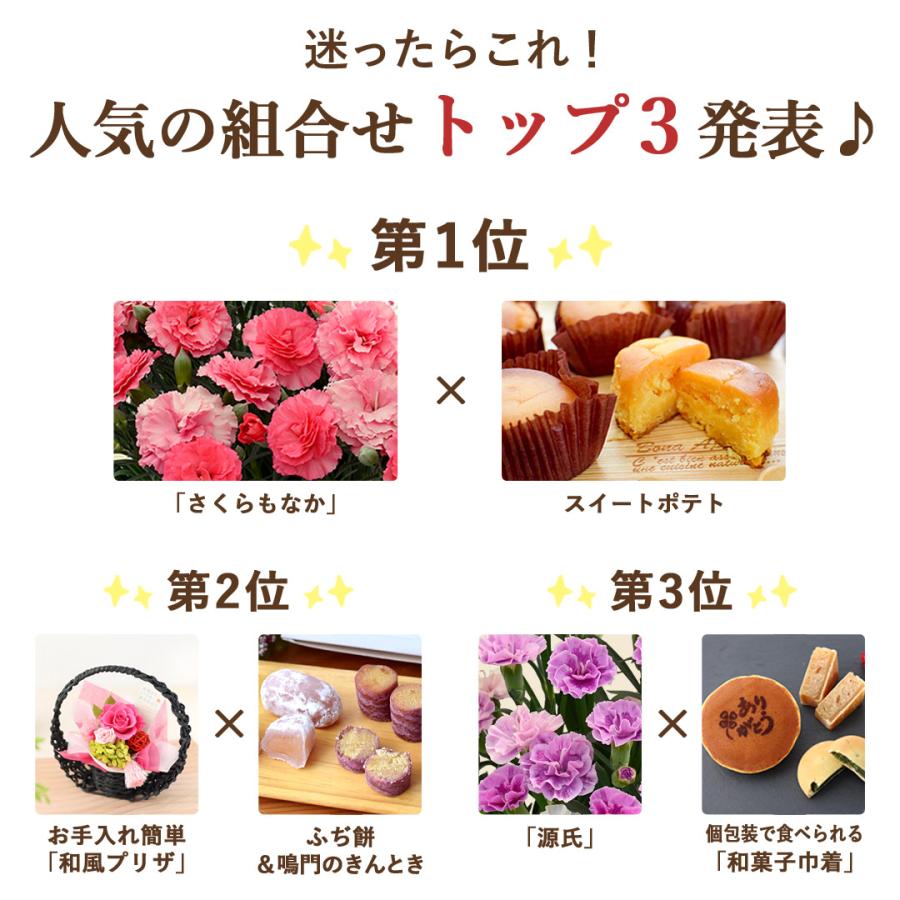 遅れてごめんね 母の日 2026 花 花とスイーツ 選べる 32通り カーネーション 鉢花 ギフト プリザーブドフラワー スイートポテト スイーツ セット | フラワーマーケット花由 | 13
