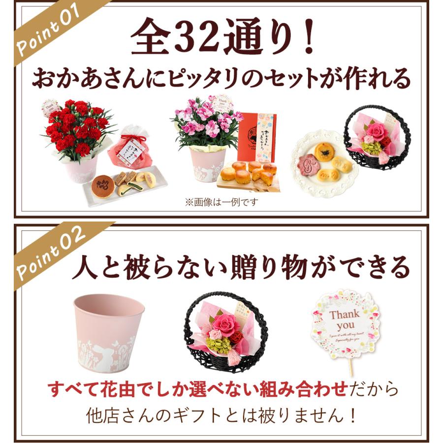 遅れてごめんね 母の日 2026 花 花とスイーツ 選べる 32通り カーネーション 鉢花 ギフト プリザーブドフラワー スイートポテト スイーツ セット | フラワーマーケット花由 | 15