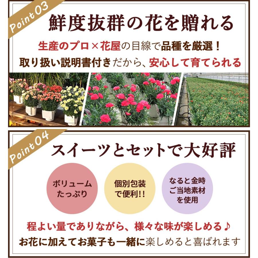 フラワーマーケット花由 遅れてごめんね 母の日 2026 花 花とスイーツ