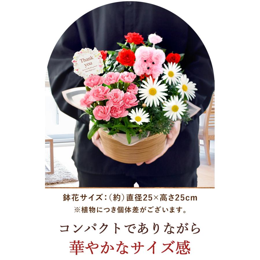 フラワーマーケット花由 まだ間に合う ※一部地域を除く 母の日 花 2026