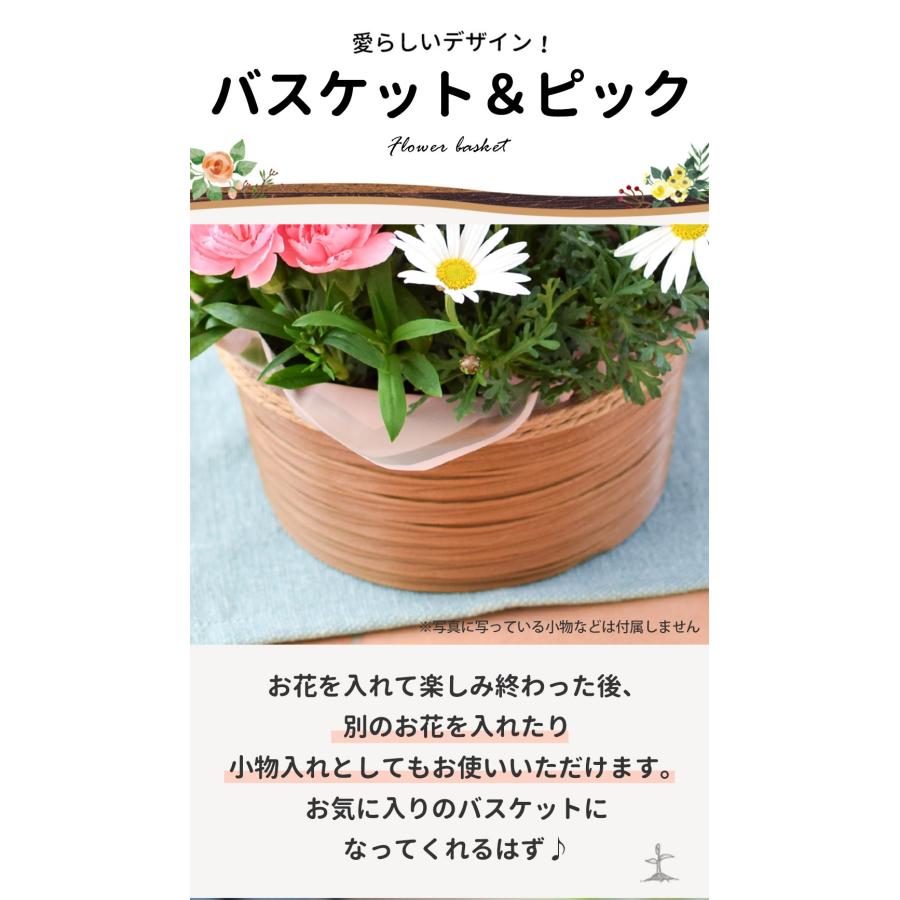 フラワーマーケット花由 まだ間に合う ※一部地域を除く 母の日 花 2026