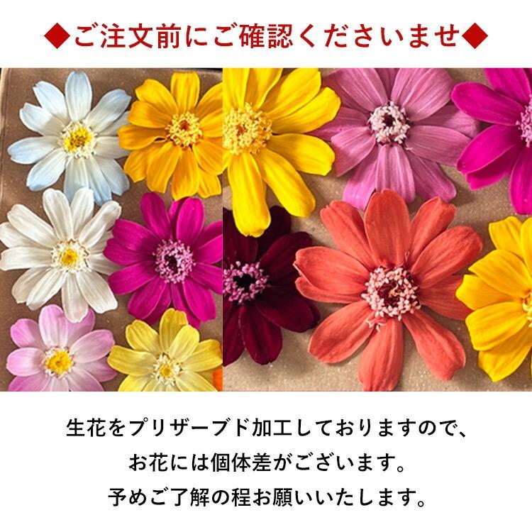 フラワーマーケット花由 プリザーブドフラワー 名入れ 誕生日