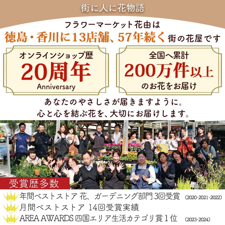 フラワーマーケット花由 夏の代名詞 ほおずき inバスケット ホウズキ