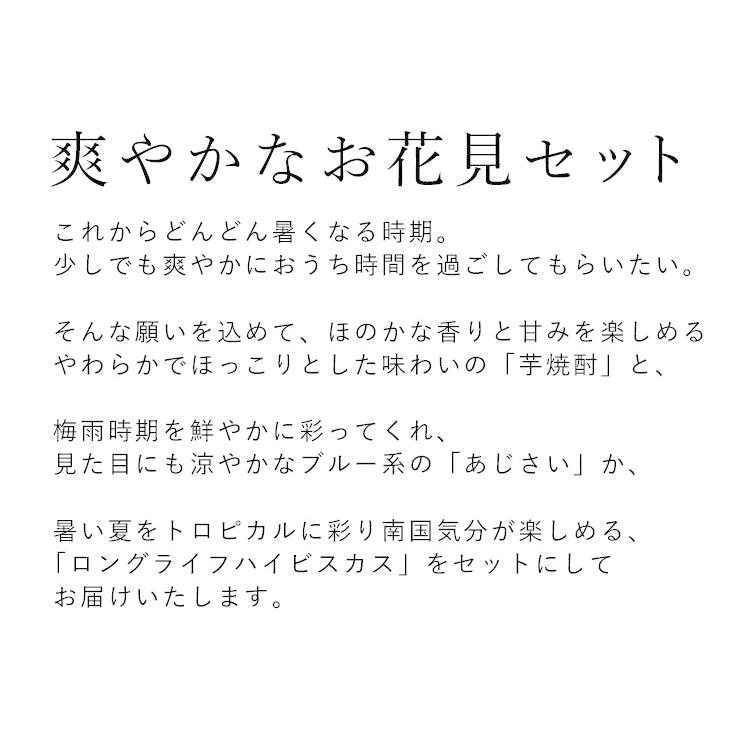 父の日 21 おうちでお花見セット 青系あじさい か ロングライフハイビスカス 本格芋焼酎 鳴門金時里娘 のセット お酒 花 プレゼント ギフト フラワーマーケット花由 通販 Paypayモール