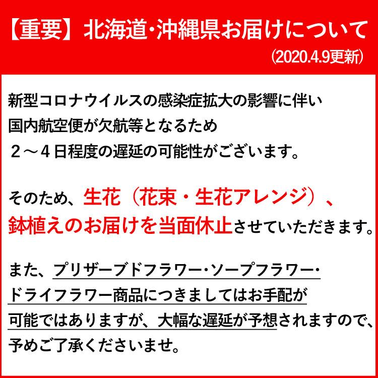 早割 母の日 22 選べる3種類 大栄花園さんのアジサイ4号鉢と長崎カステラセット あじさい 紫陽花 鉢 鉢植え 花鉢 鉢花 花 プレゼント ギフト フラワーマーケット花由 通販 Paypayモール